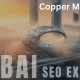 SEO Expert in Dubai