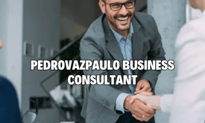 Pedrovazpaulo Business Consultant