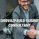 Pedrovazpaulo Business Consultant