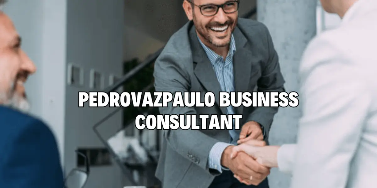 Pedrovazpaulo Business Consultant