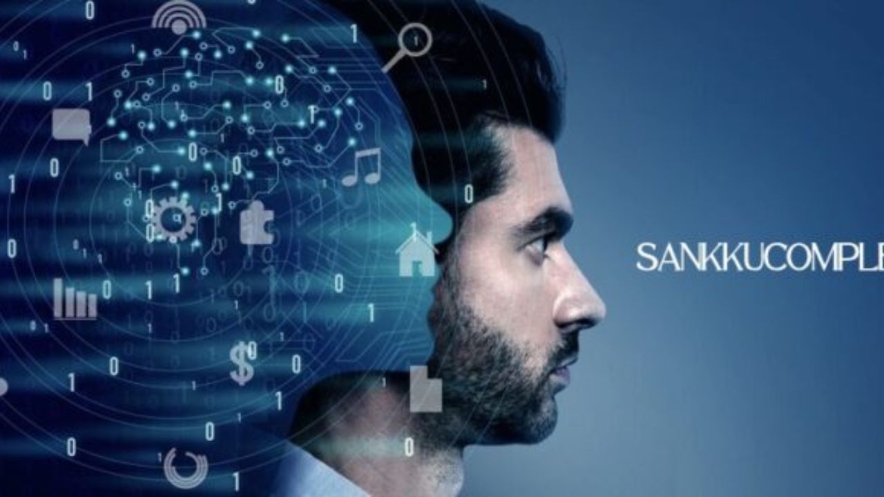 Sankkucomplex